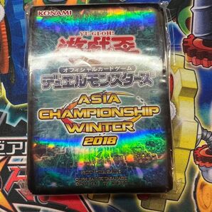 【特価】ASIA CHAMPIONSHIP WINTER スリーブ 未開封