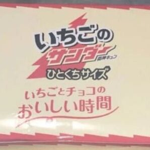 いちごのサンダーひとくちサイズ パウチ いちご ノーマル 各10個