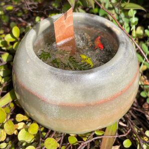 池の鯉のキャンドル ウッドウィック 和室にも