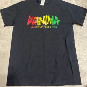 WANIMA NO IMAGE FELT THING Tシャツ サイズM 美品