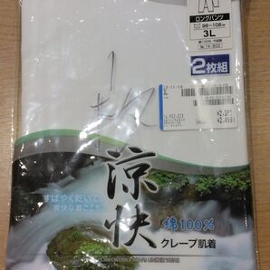 《使いかけ》メンズ ロングパンツ 1枚 3Lサイズ 肌着 インナー 紳士物 c100/412