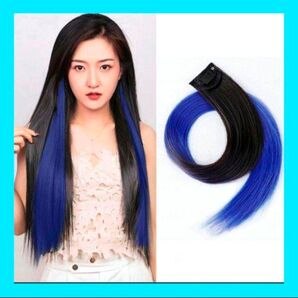 カラーエクステ 10本 グラデーションカラー ワンタッチ簡単着用 ウィッグ