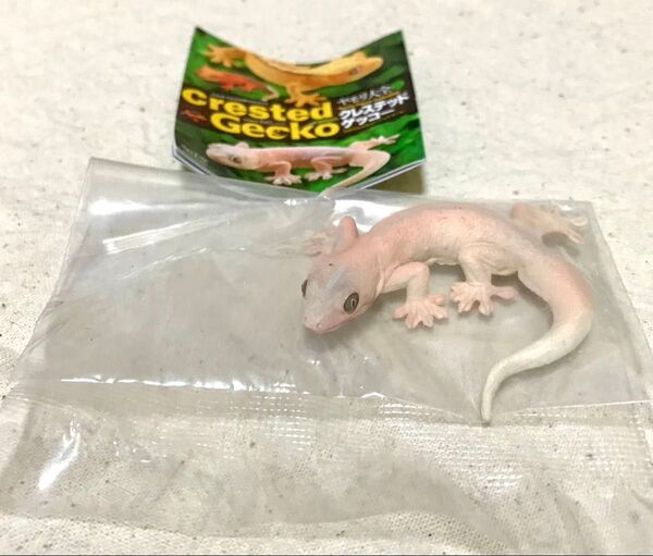 『ヤモリ大全2-クレステッドゲッコー』オンナダケヤモリ Crested Gecko カプセルQミュージアム