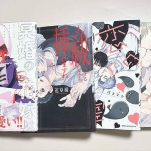 【BL】冥婚の花嫁は愛される 2、お祓いするから挿れますね、恋の幽霊、オオカミ…