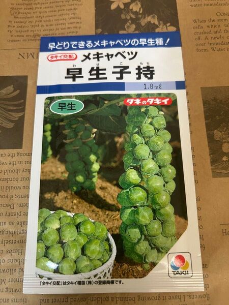 タキイ メキャベツ 早生子持 種 芽キャベツ