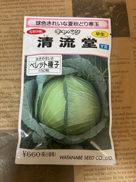 【有効期限切れ】キャベツ 清流堂 野菜 種