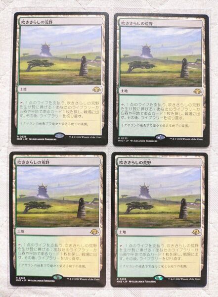 マジックザギャザリング 吹きさらしの荒野 4枚セット モダンホライゾン3 MTG Windswept Heath