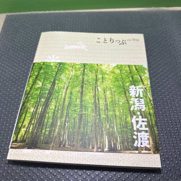 新潟佐渡/旅行 昭文社
