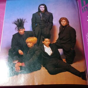 GB 雑誌 櫻井敦司 BUCK-TICK FISH TANK 会報 バクチク現象 トレカ 異空 35 テヤン ポスター スブロサ