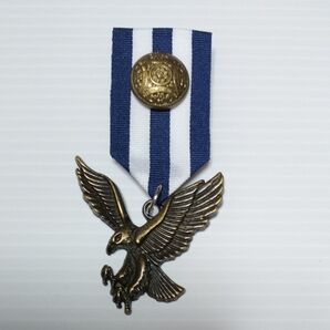 勲章バッチ イーグル