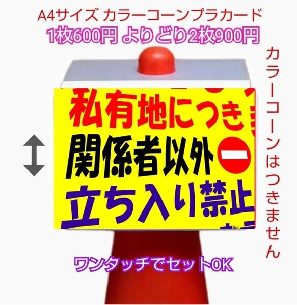 A4サイズカラーコーンプラカード285『私有地につき関係者以外立ち入り禁止』斜め