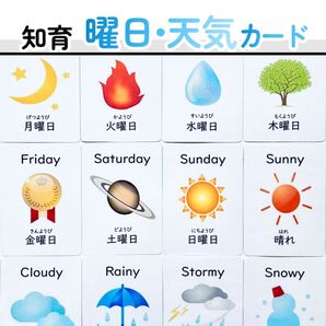 曜日カード お天気カード 保育教材 幼児教育 知育カード 視覚支援 療育