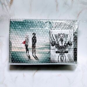 未開封 アソビストア特典付き SYNDUALITY Echo of Ada DELUXE EDITION 超特装版 PS5