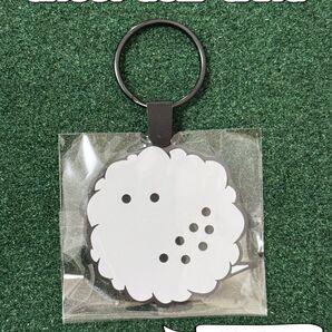 【非売品】GHOST GOLF GANG SOFTNESS KEY RING 送料込み