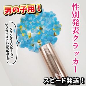 ★新品★性別発表 クラッカー ジェンダーリビール サプライズ 男の子 記念撮影