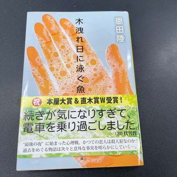 木漏れ日に泳ぐ魚