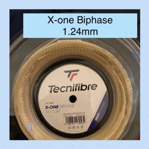 6 張分 X-ONE BIPHASE 1.24エックスワン バイフェイズ ガット