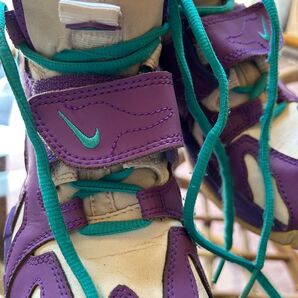 NIKE シューズ AIR 24cm レアカラー