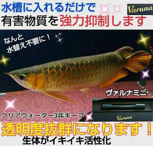 爆発的に売れてます【ヴァルナミニ8センチ】有害物質を強力抑制！透明度が抜群に！☆水替えも不要になります！水槽に入れるだけ！説明書付