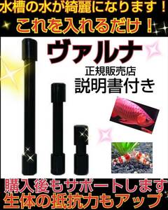 ホントに凄い！【ヴァルナミニ8センチ】有害物質を強力抑制！透明度が抜群に！☆水替えも不要になります！水槽に入れるだけ！説明書付き！