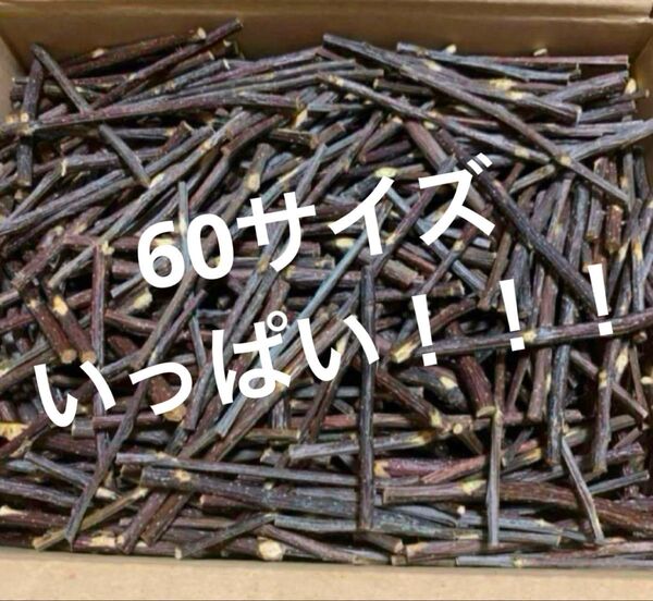 ★大量 りんご かじり木 60サイズ箱いっぱい うさぎ チンチラ ハムスター 小動物 齧歯類 げっ歯類 ストレス発散 お買い得!1