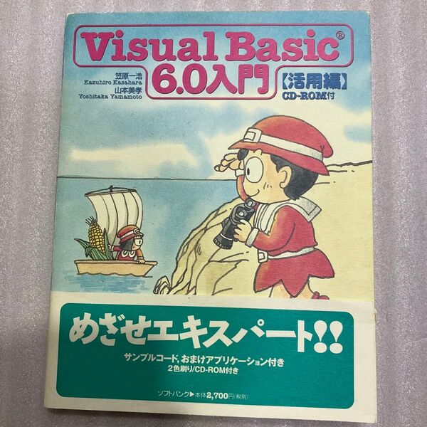 Visual Basic 6.0 入門 【活用編】 CD-ROM付