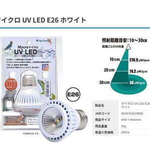 マイクロUV LED E26ホワイト 交換球