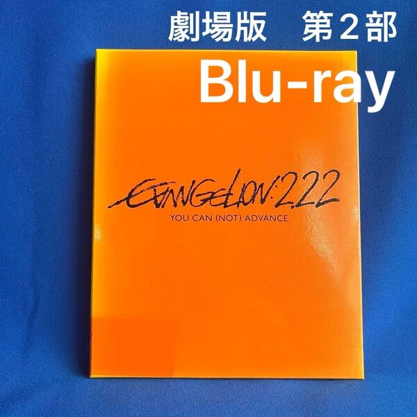 ヱヴァンゲリヲン新劇場版 Blu-ray YOU CAN NOT ADVANCE 2.22