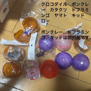ワンピの実 まとめ売り 2