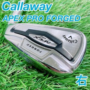 ゴルフ アイアン キャロウェイ APEX エイペックスプロ 7I NT0473