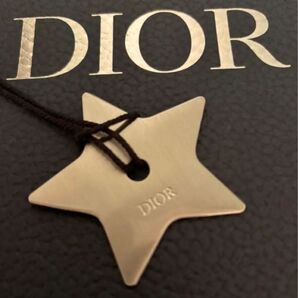 DIORメンズBTSジミン愛用チャームシルバー