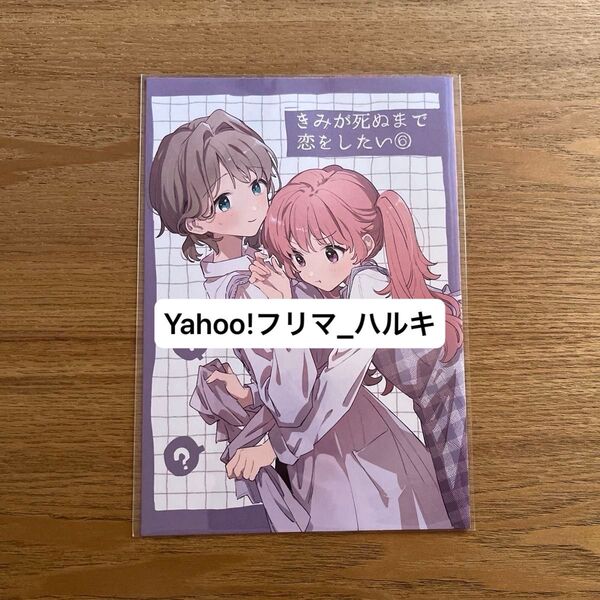 きみが死ぬまで恋をしたい リーフレット