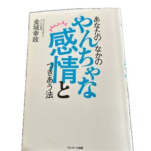 あなたのなかのやんちゃな感情とつきあう法 金城幸政/著