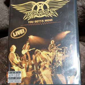 中古DVD ユーガッタムーヴ/エアロスミス 国内盤 値引き交渉はご遠慮します すみません