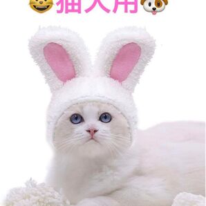 猫 犬 帽子 着ぐるみ コスプレ うさぎ 暖かい 防寒対策