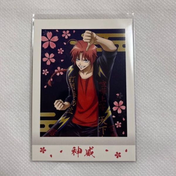 【未使用】銀魂 神威 ぱしゃこれ 16 ヤンキー チェキ ブロマイド