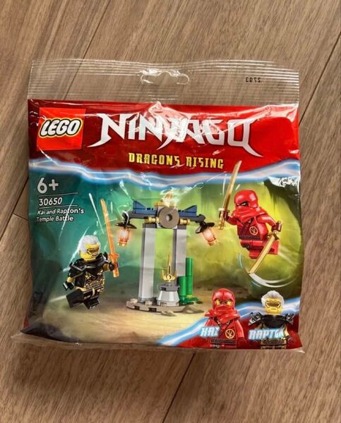 LEGO レゴ ニンジャゴー NINJAGO 30650 ラスト1