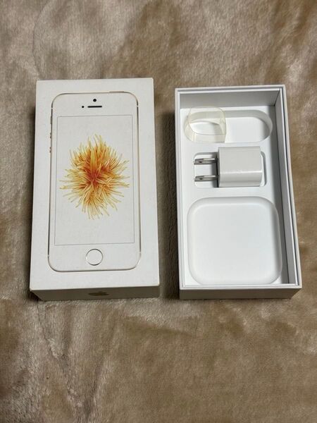 iPhone se 箱 充電器 SIMピンのみ