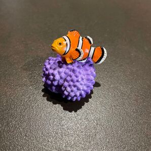 ミニチュアプラネット カクレクマノミ