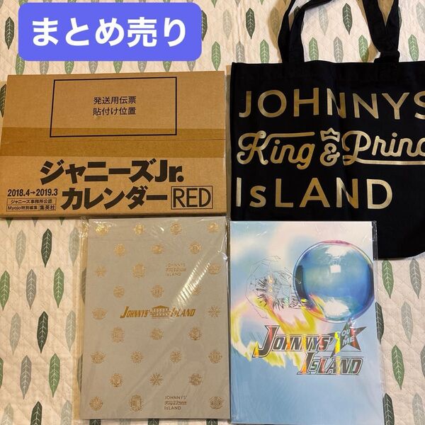 新品 ジャニーズJr.カレンダー 2018-2019 RED ジャニーズアイランド パンフレット King & Prince