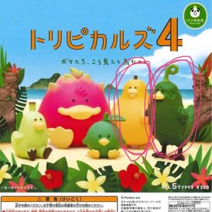 トリピカルズ4 ガチャガチャ 2個セット