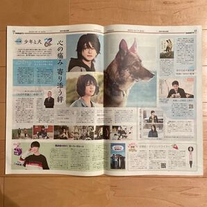 少年と犬 新聞記事 高橋文哉 西野七瀬 三村航輝