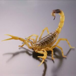 海洋堂カプセルQ 有毒危険動物大全 デスストーカー 単品 ガシャポン