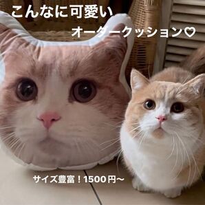 推し活応援オーダーメイド クッション 両面印刷