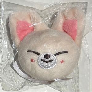 SKZOO ぬいぐるみマグネット アイエン フォクシニ FoxI.Ny StrayKids スキズ 公式