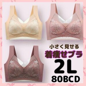 大きな胸を小さく見せるブラジャー 3点セット美胸ブラ 着痩せブラ 補正ブラ 補正下着 ノンワイヤーブラ 3色セット