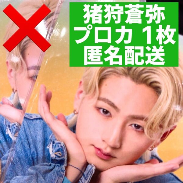 ジュニア プロフィールカード プロカ 2025 ファミクラストア 猪狩蒼弥
