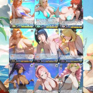 セクシーカード 美女ヒロイン ヴァイス.ver 9枚