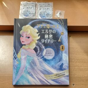 アナと雪の女王 エルサの秘密ダイアリー