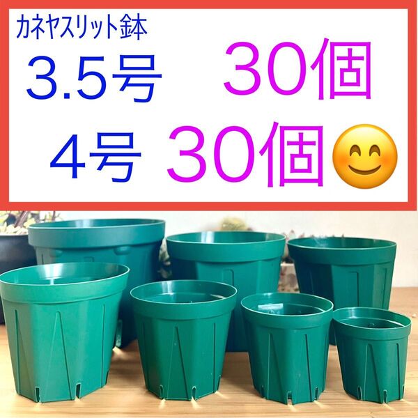 A①① スリット鉢お得セット★【3.5号30個】【4号30個】